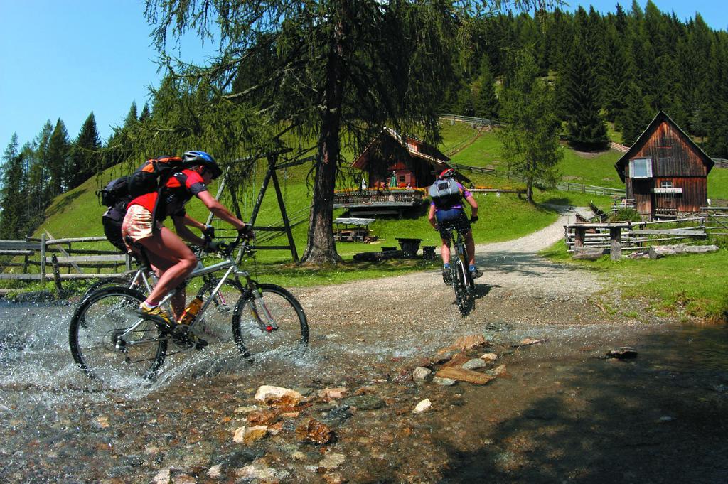 Ferienwohnung Earthloft Bad Kleinkirchheim Pokój zdjęcie