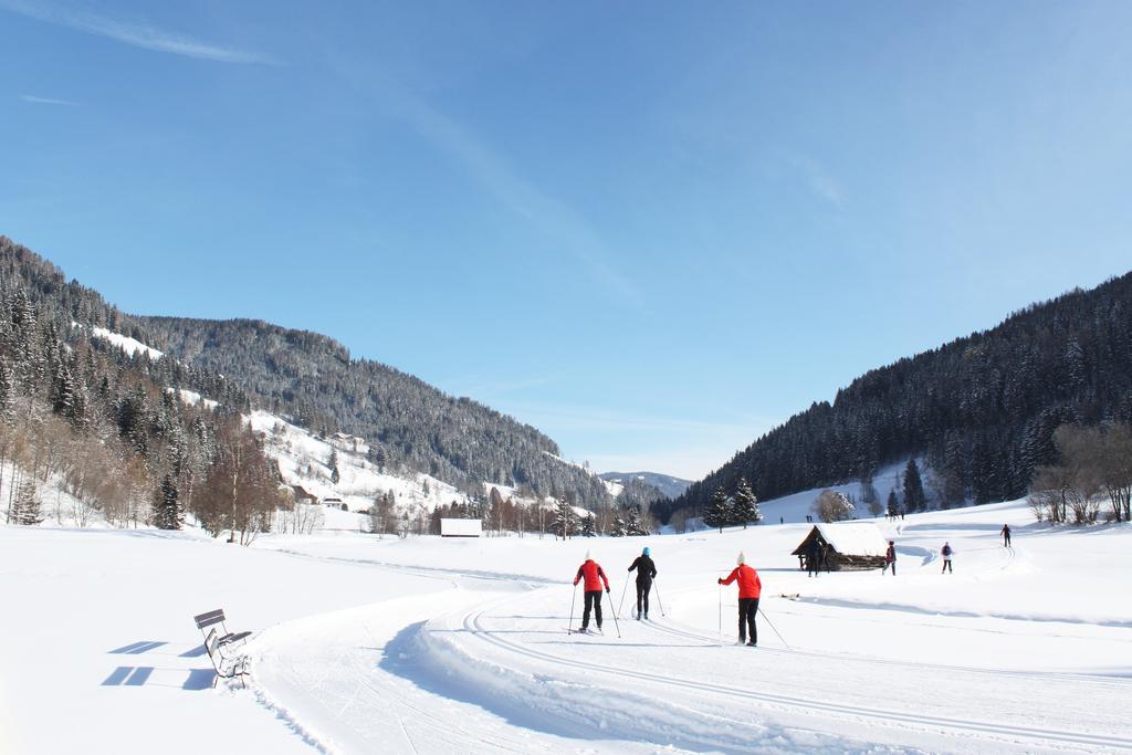 Ferienwohnung Earthloft Bad Kleinkirchheim Pokój zdjęcie
